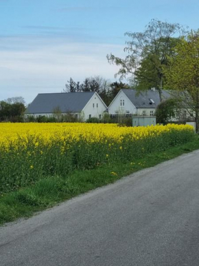 Birkelund BnB, Otterup